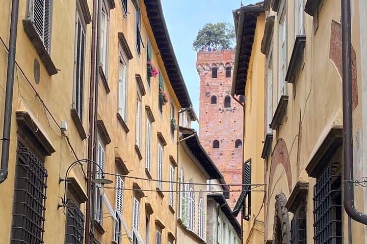 Discover Lucca A Charming Walled City With a Local Guide
