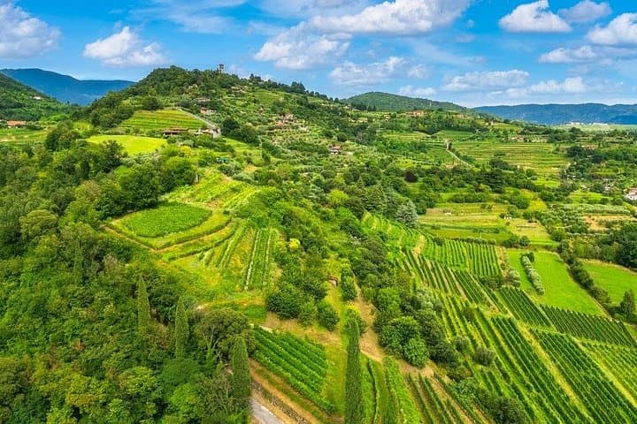 Franciacorta Wine Tasting Tour from Milan with Lake Iseo Cruise