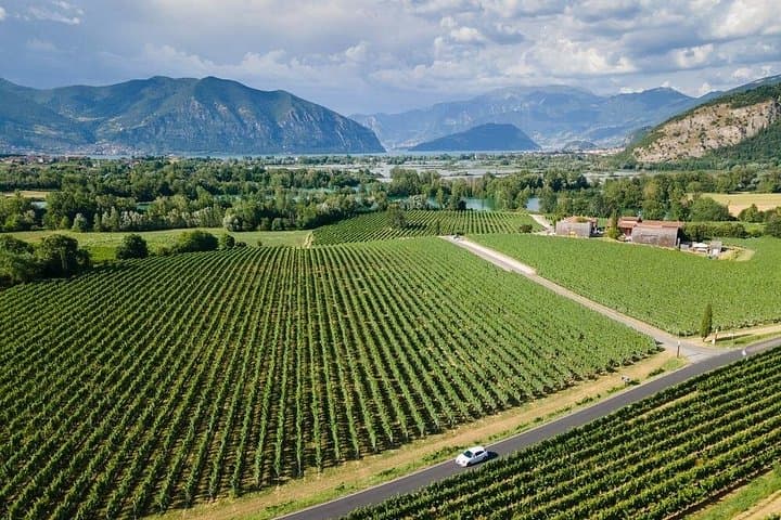 Franciacorta Wine Tasting Tour from Milan with Lake Iseo Cruise