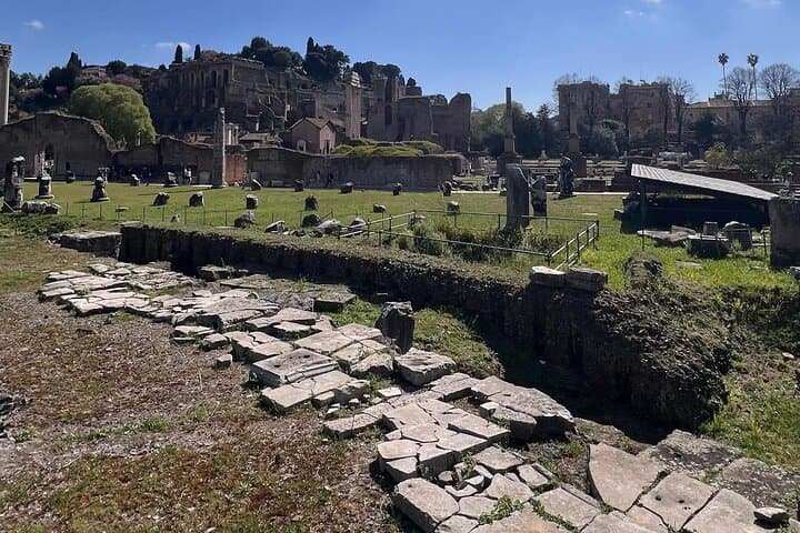 Colosseum, Roman Forum and Palatine Hill Private Tour