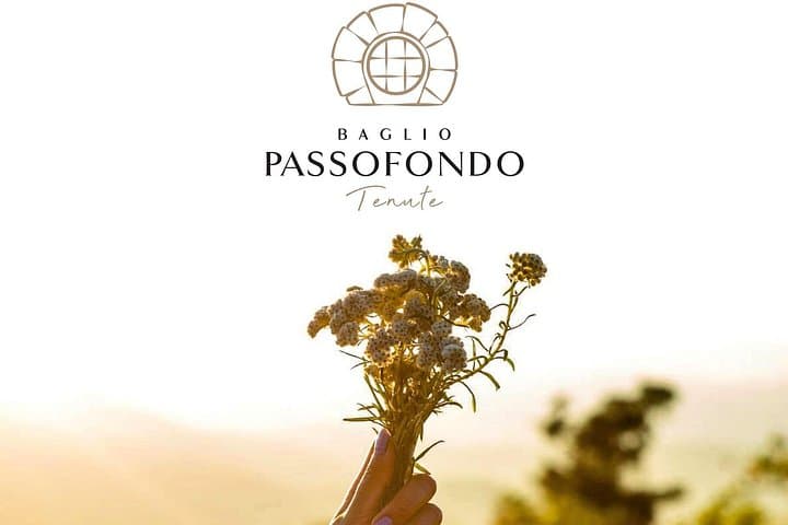Cooking class: Cooking Sicilian dishes