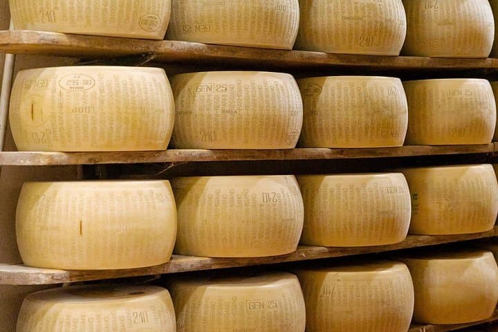 Visiting the Parmigiano Reggiano dairy farm