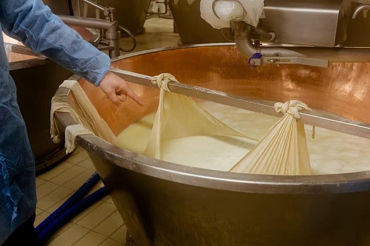 Visiting the Parmigiano Reggiano dairy farm