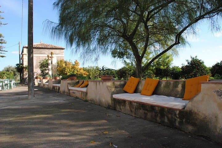 Sicilian Soul: Winery Tour, Wine & Food Tasting in Catania