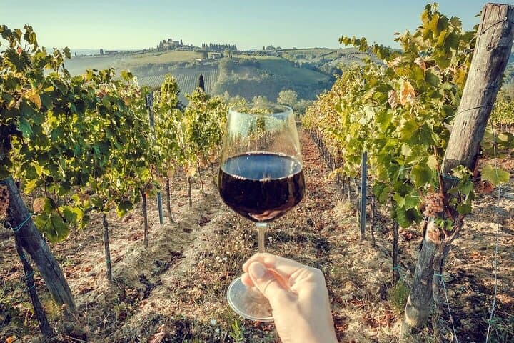 WINE TASTING