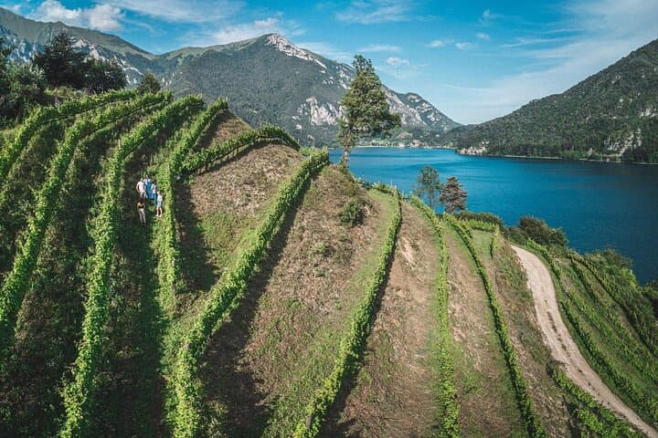 Guided Tour and Tasting Among the Vines of Lake Ledro