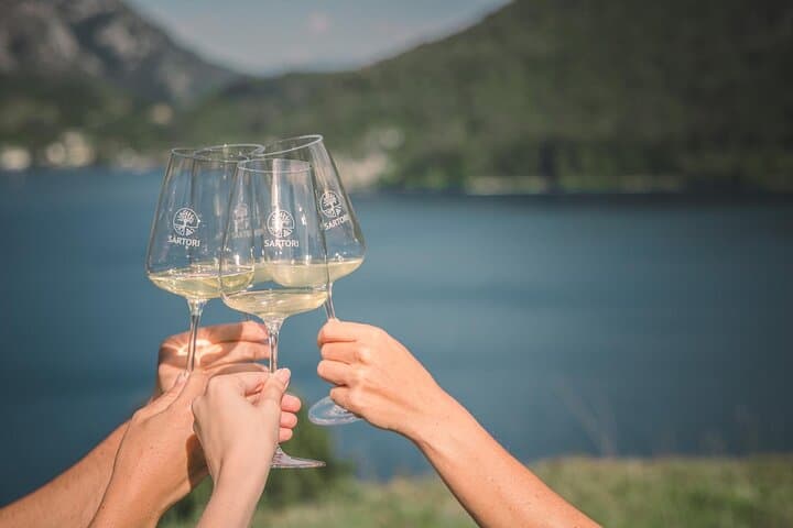 Guided Tour and Tasting Among the Vines of Lake Ledro