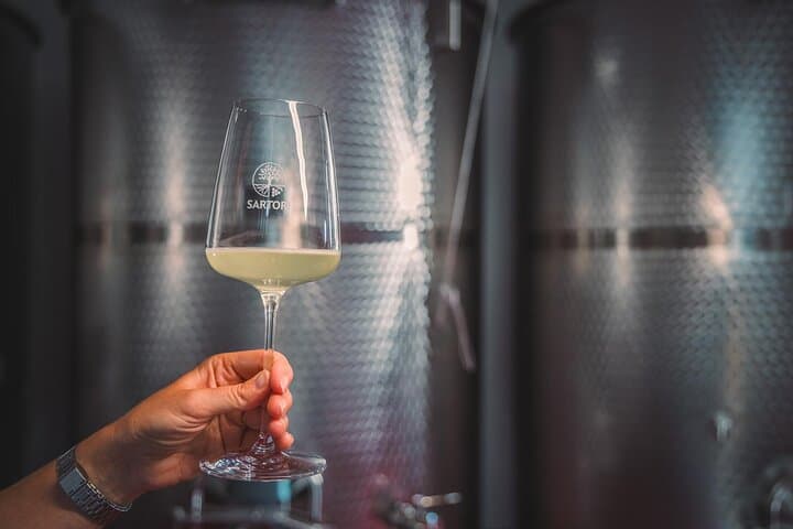 Guided Tour and Tasting Among the Vines of Lake Ledro