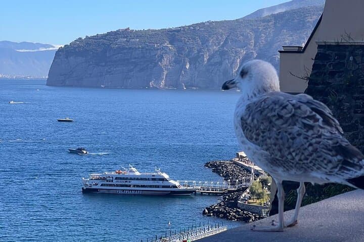 private transfer DA Naples to Sorrento and vice versa