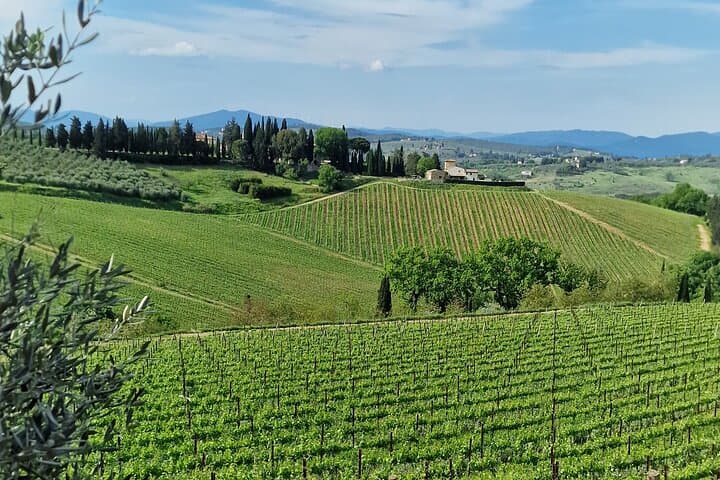 Private driver from Florence: Siena, San Gimignano, Pisa 12 hours