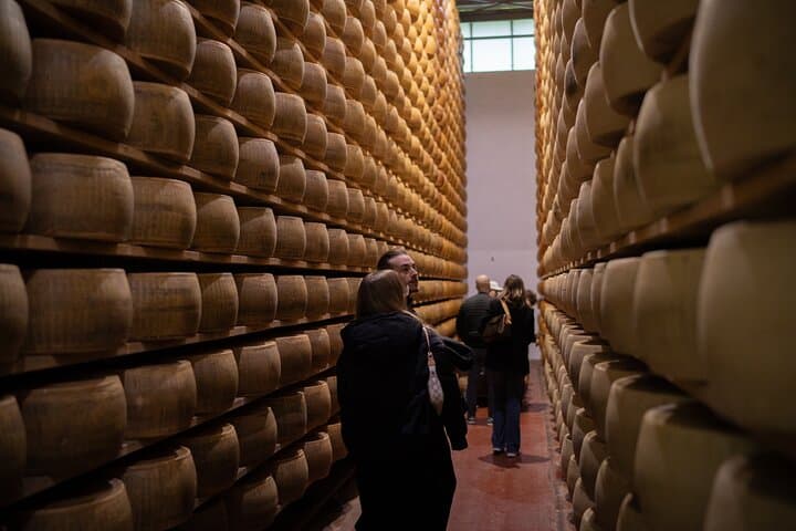 Bologna Food Valley Small Group Factory Tasting and Winery Lunch
