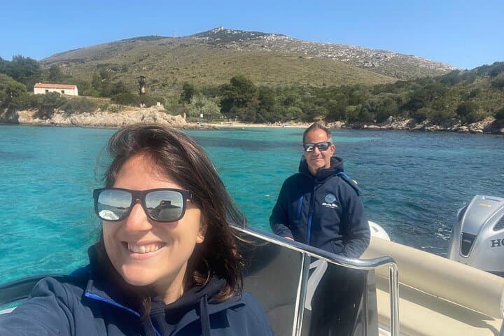 Dolphin spotting in the Gulf of Olbia