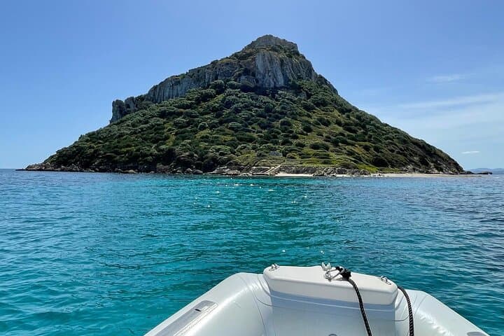 Dolphin spotting in the Gulf of Olbia