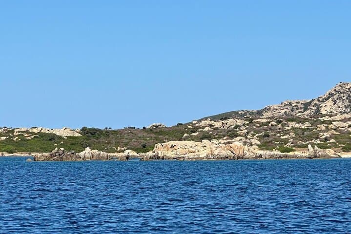 Asinara: Boat tour in the national park with lunch on board