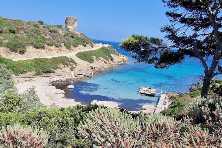 Asinara: Boat tour in the national park with lunch on board