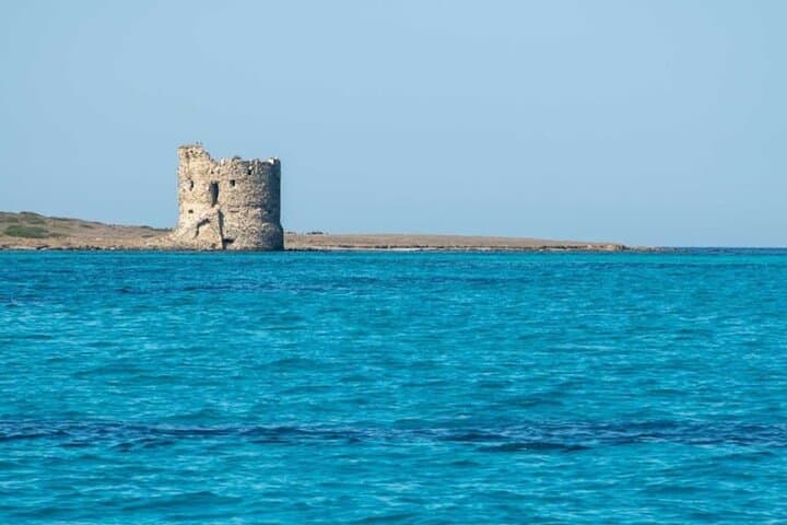 Asinara: Boat tour in the national park with lunch on board