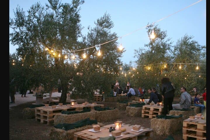 Apulian Olive Oil Tasting and Aperitivo Experience in Trani