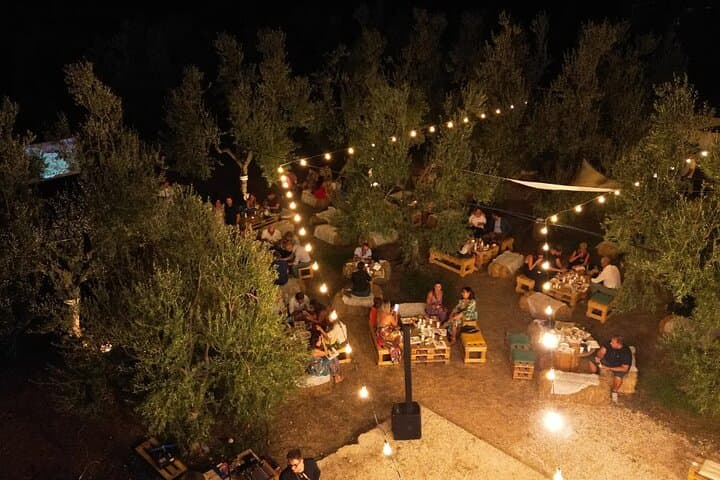 Apulian Olive Oil Tasting and Aperitivo Experience in Trani