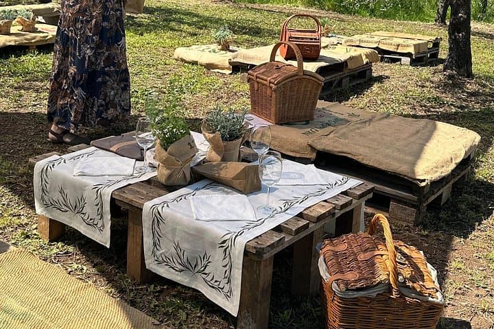 Picnic among the Olive Trees and Tasting of Oil and Local Flavors