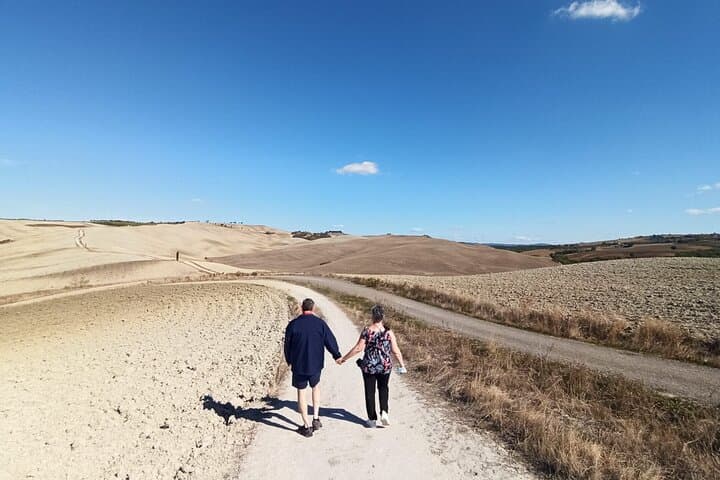 Val D’Orcia Tour From Siena Montalcino Pienza and Montepulciano