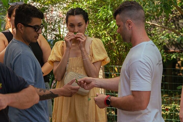 Sorrento Tour: Lemon Garden, Mozzarella show with Ape Ride