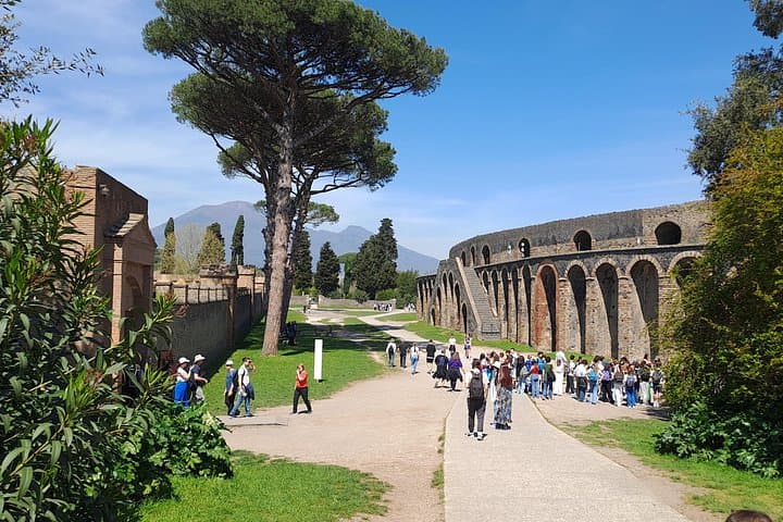 Pompeii private tour from Naples. The best choice for cruisers