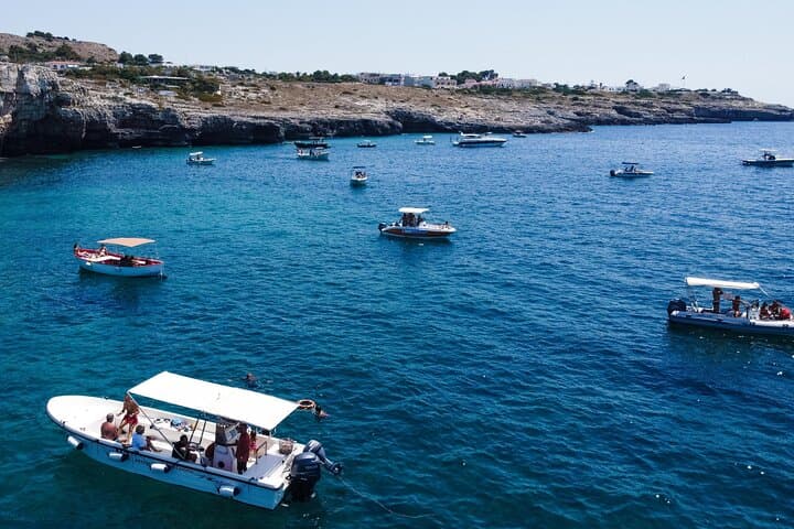 Excursions to the caves of S. M. of Leuca on the Ionian side