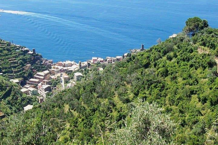 Sublime view towards the village of Vernazza climbing towards the Sanctuary of Our Lady of Reggio