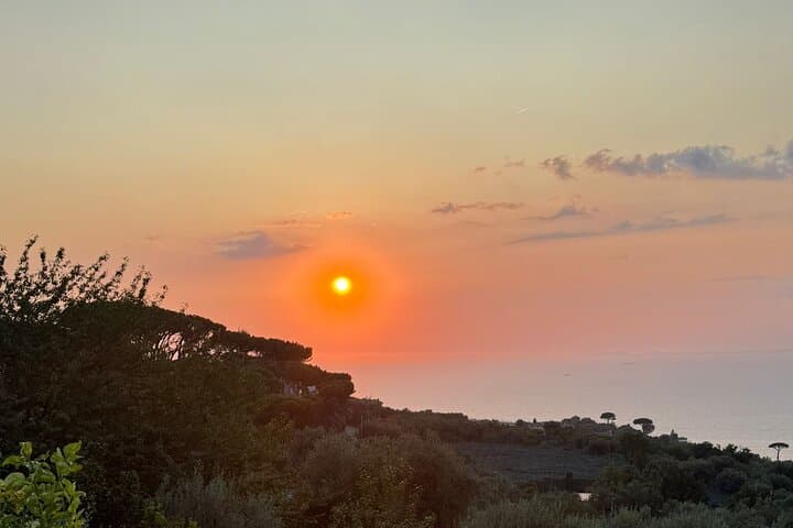 Pizza School with Nino overlooking Vesuvius in Sorrento