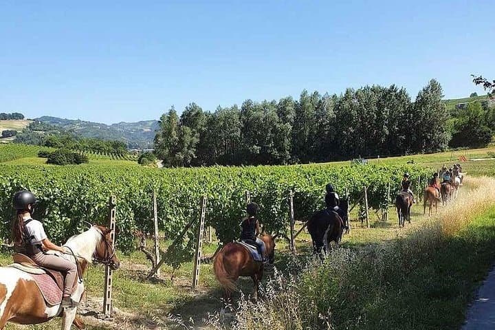 Horse Riding Adventure in Langhe: Piemonte's Scenic Vineyards