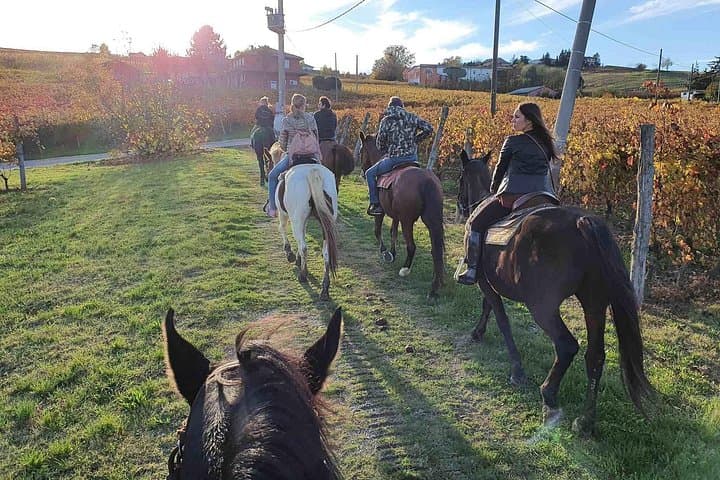 Horse Riding Adventure in Langhe: Piemonte's Scenic Vineyards