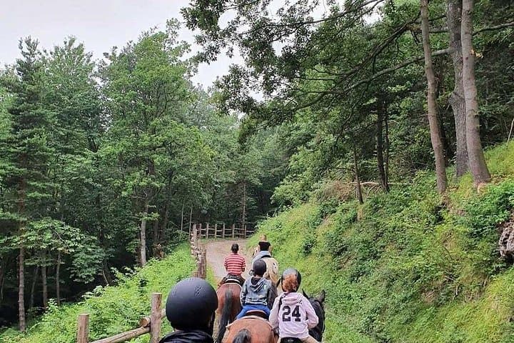 Horse Riding Adventure in Langhe: Piemonte's Scenic Vineyards