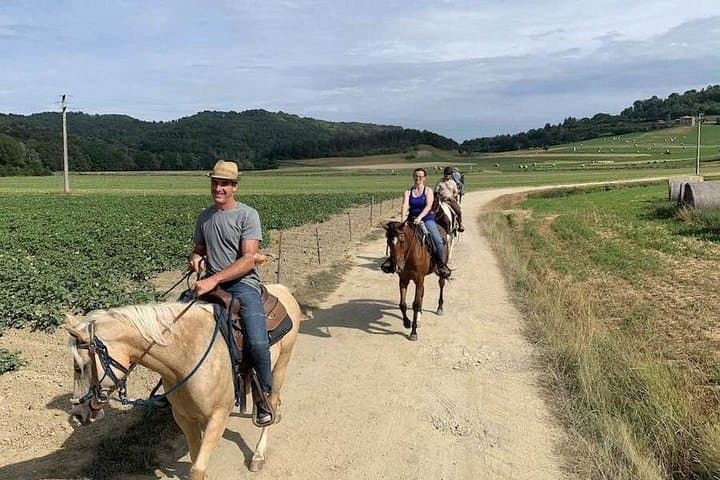 Horse Riding Adventure in Langhe: Piemonte's Scenic Vineyards