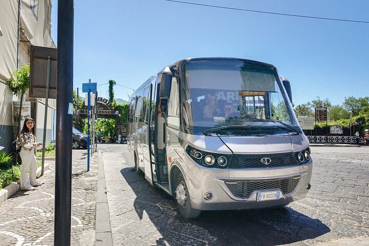 From Pompeii to Mount Vesuvius: Bus, Audio Guide, Ticket Included