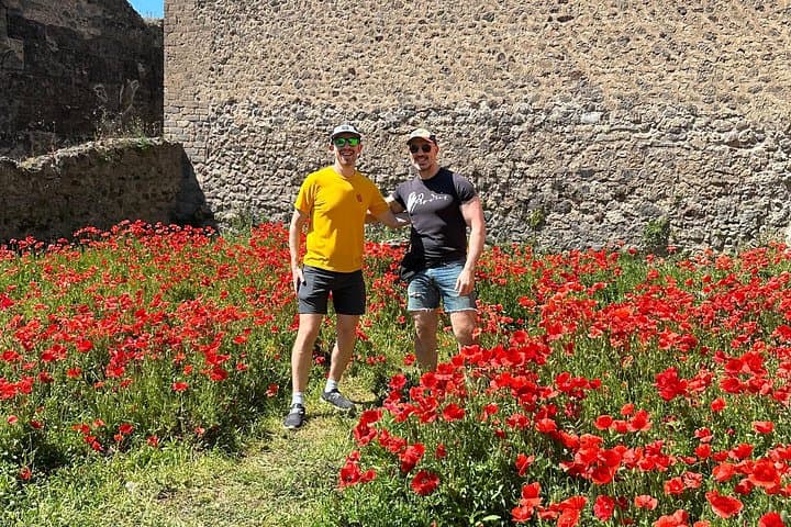 Naples to Positano with stop at Pompeii or Vice Versa