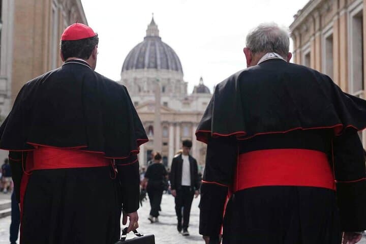 Papal Audience Tour With Reserved Entrance