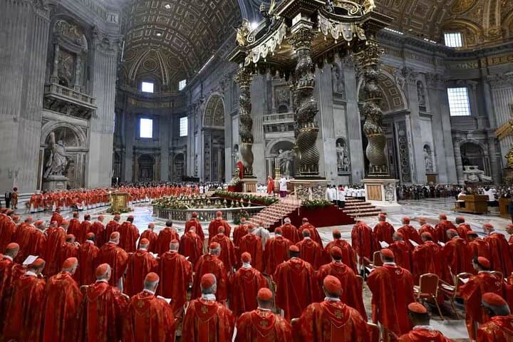 Papal Audience Tour With Reserved Entrance