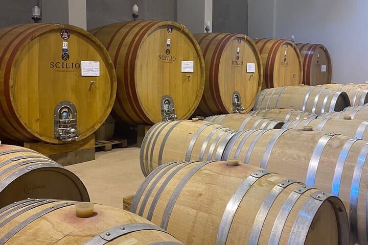 Private Etna Tour and 200 Years Old Winery Visit with Lunch