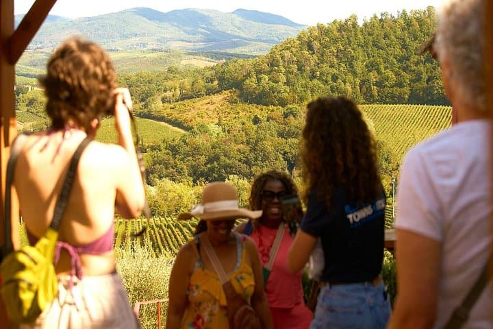 Florence: Great Chianti Wine and Olive Oil Trail with Lunch