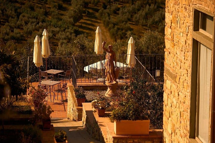 Florence: Great Chianti Wine and Olive Oil Trail with Lunch