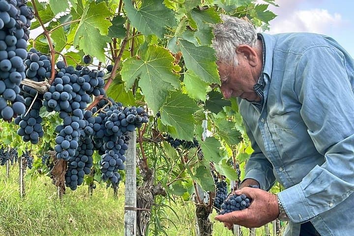 Private Montepulciano Nobile Wine Tasting