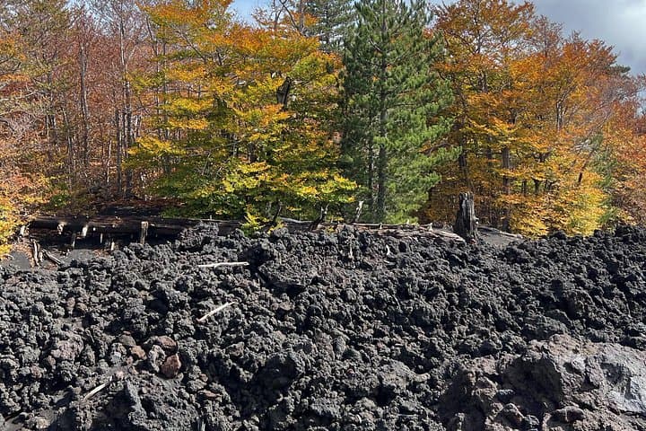 Mount Etna tour with Sicilian tasting