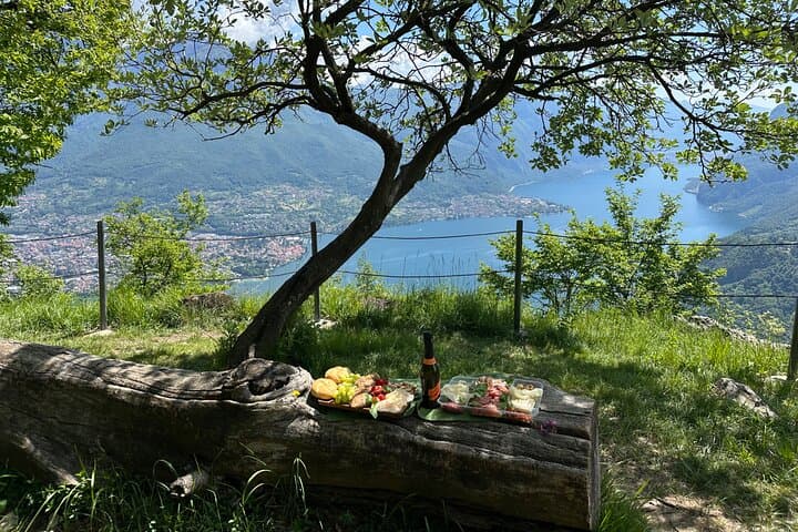 With private transfer from Como, explore Lake Como’s serene paths on a light, scenic walk surrounded by amazing mountain and lake views