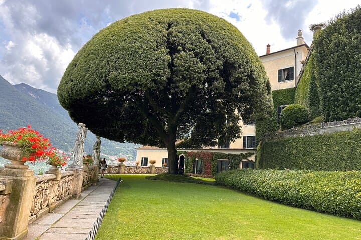 Gardens of Villa Balbianello - under this tree one of the scenes for ‘James Bond Casino Royale’ was filmed