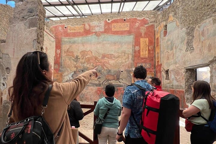 Pompeii Guided Premium Tour From Naples