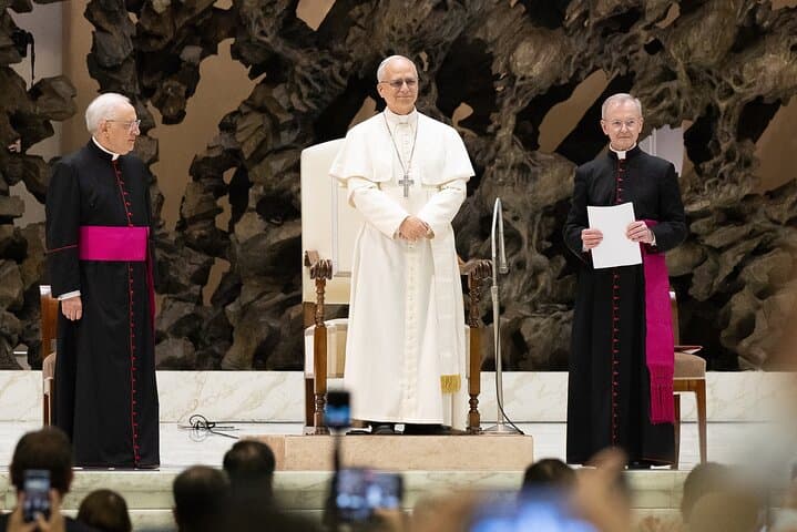 Papal Audience and Vatican Museums Tour