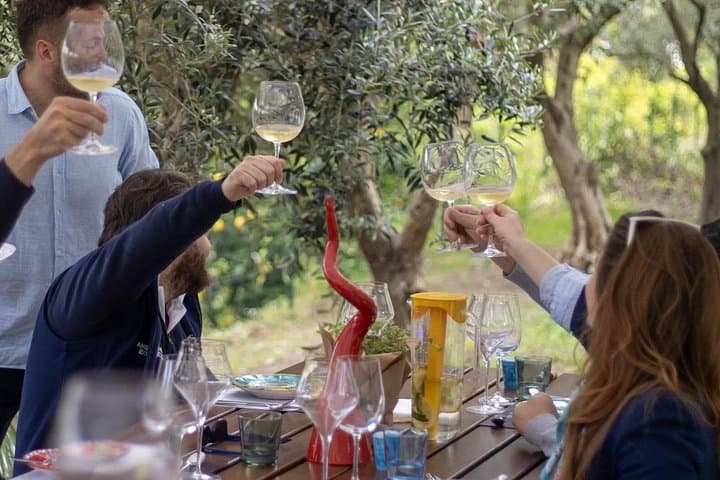 Small Group Wine Tasting e Food Pairing Experience in Sorrento