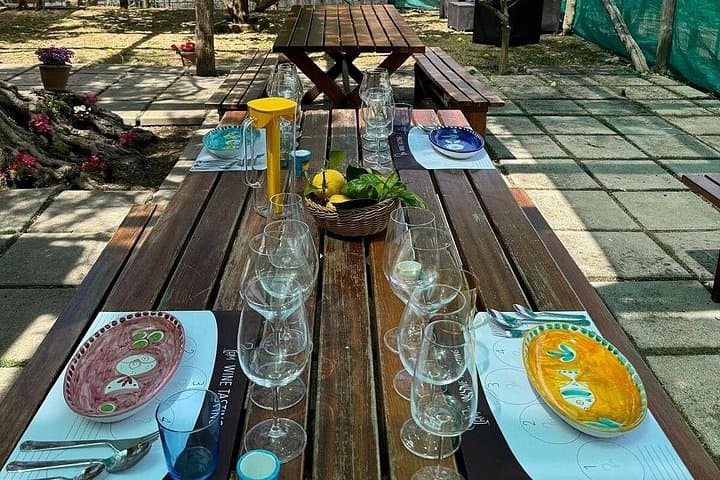 Small Group Wine Tasting e Food Pairing Experience in Sorrento