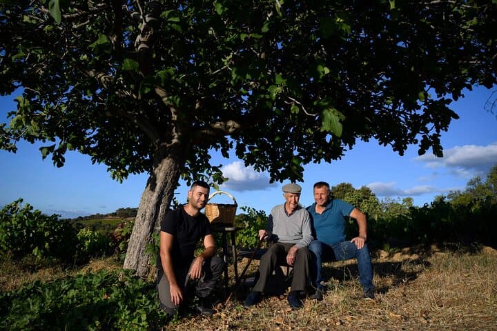Wine tasting in Mamoiada Cannonau from historic vineyards