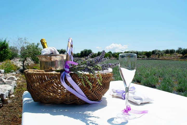 Private Olive Oil Tasting in Polignano a Mare